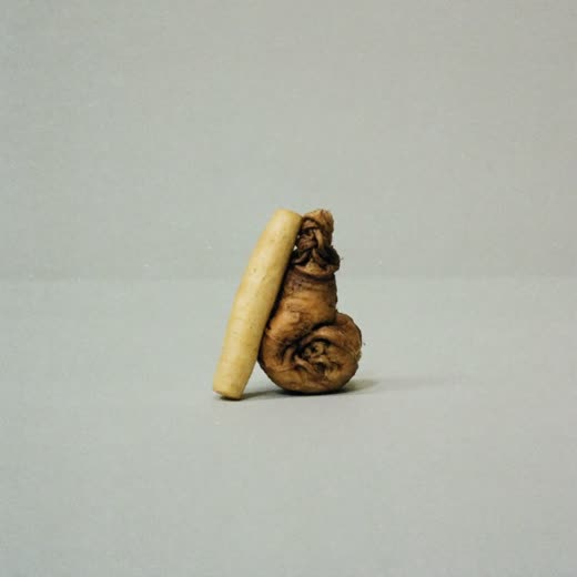 Natural dried dog chews on a plain pastel background
