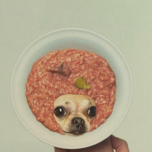 A bowl of raw dog food on a plain pastel background